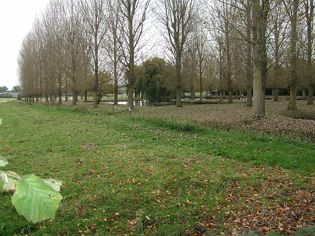 futur trail 051.jpg